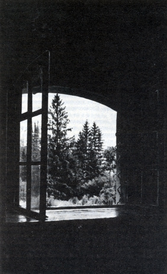 Вид в парк из окна 'комнаты под сводами', где Толстой писал 'Войну и мир'