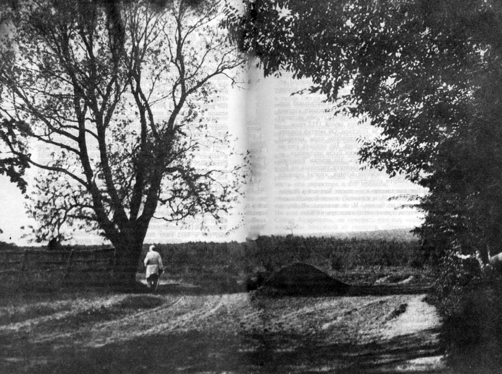 Л.Н. Толстой. Ясная Поляна. 1908 г. Фотография В.Г. Черткова